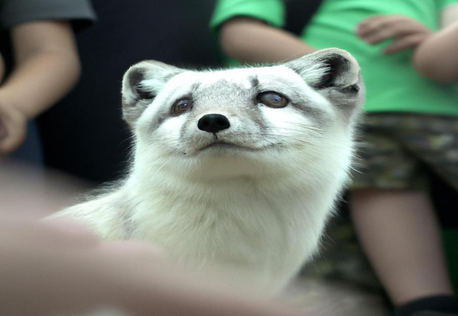 How Can Arctic Foxes be Used for Environmental Education? - Arctic Foxes and Environmental Education 