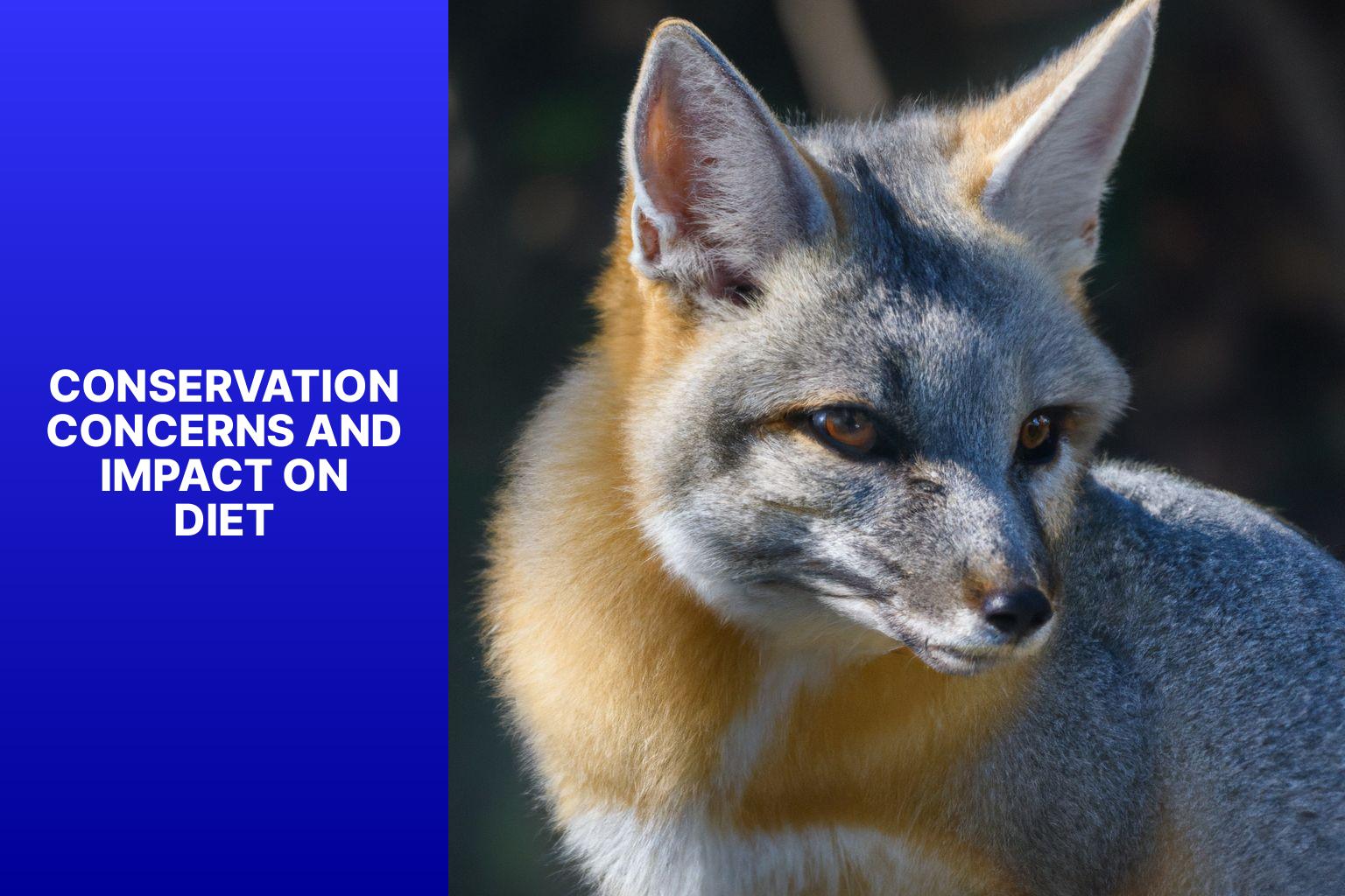 Conservation Concerns and Impact on Diet - Corsac Fox Diet 