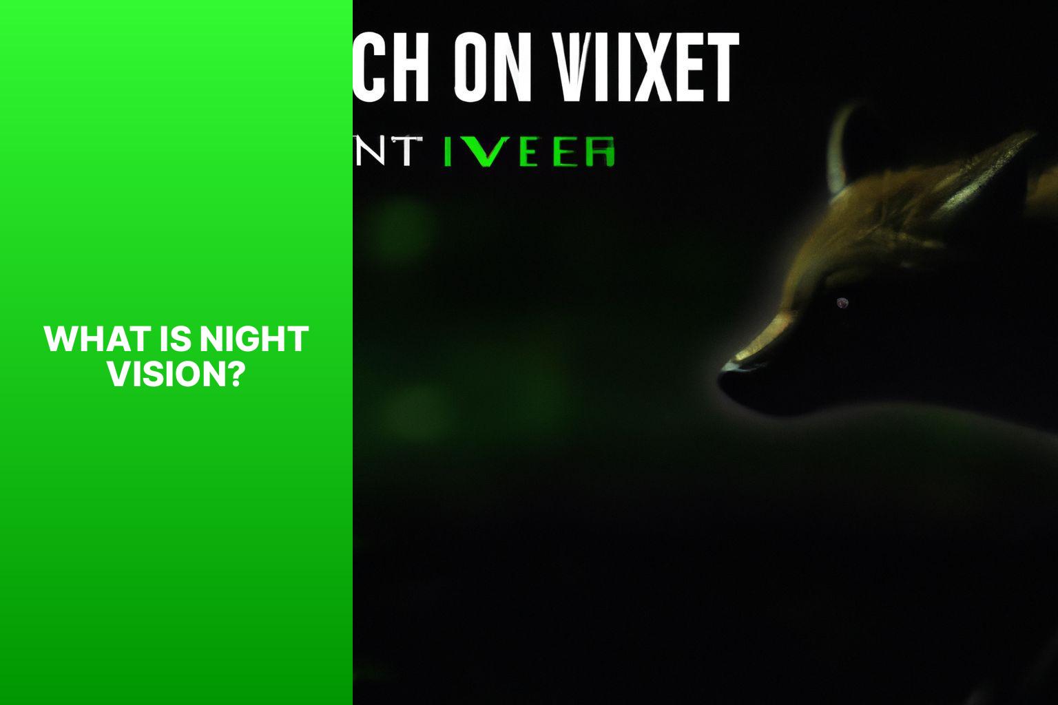 What is Night Vision? - Corsac Fox Night Vision 