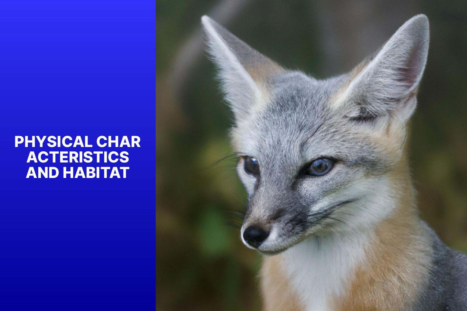 Physical Characteristics and Habitat - Corsac Fox Scientific Research 