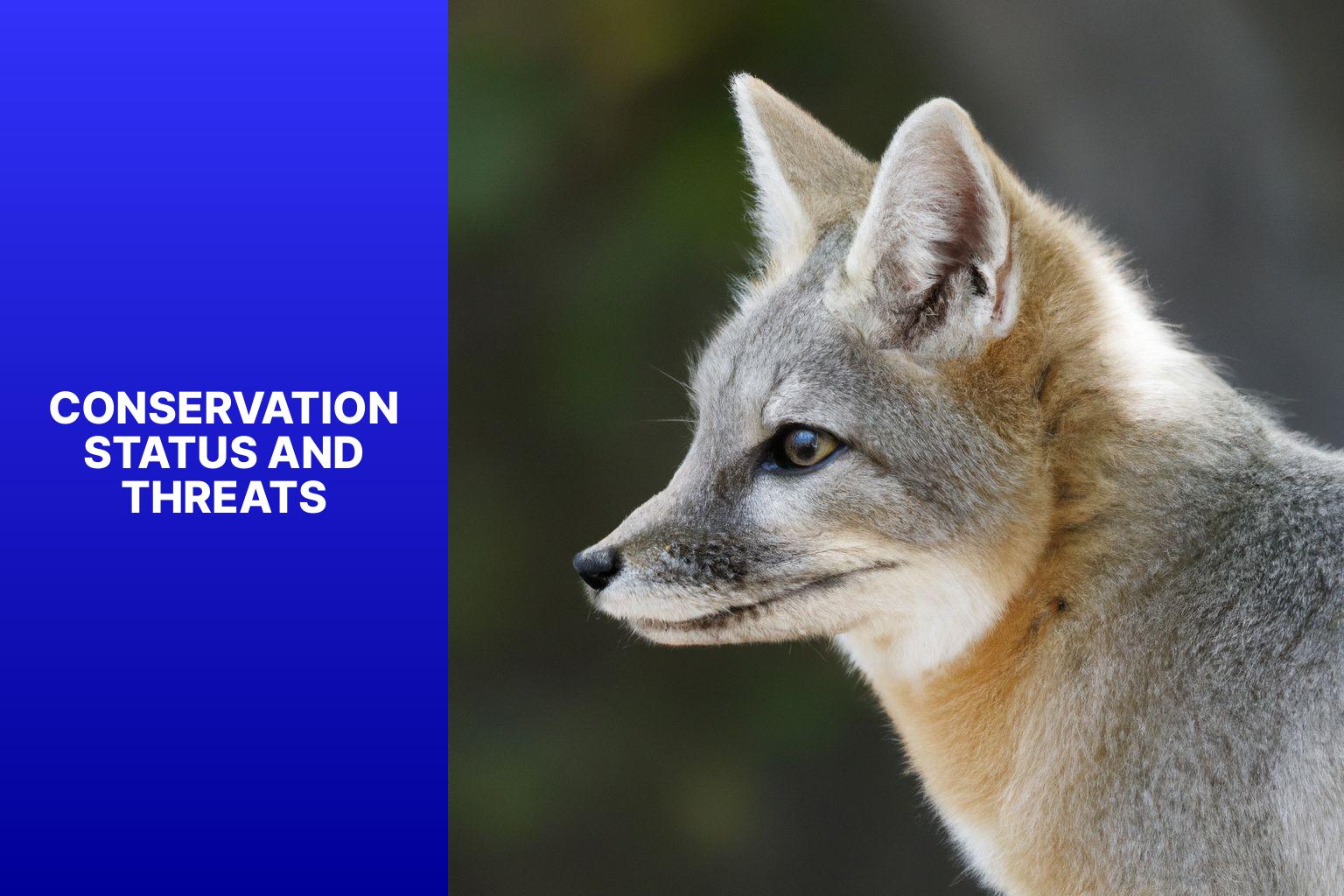 Conservation Status and Threats - Corsac Fox Scientific Research 
