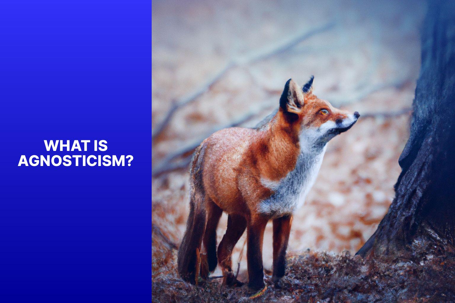 What is Agnosticism? - Fox Myths in Agnosticism 