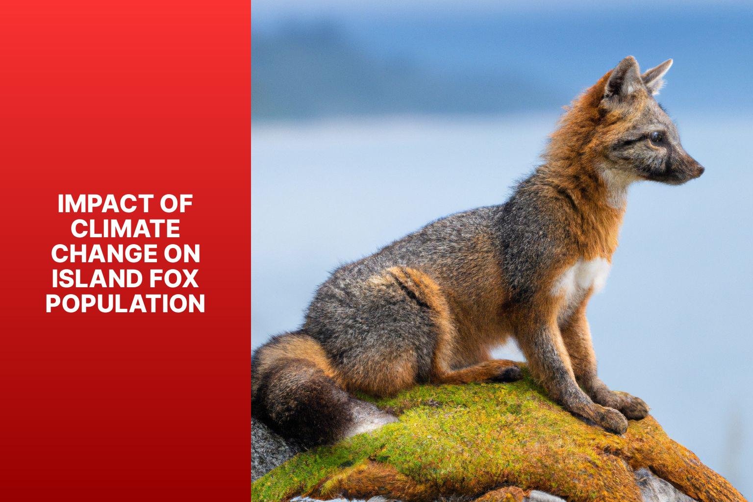 Impact of Climate Change on Island Fox Population - Island Fox and Climate Change 