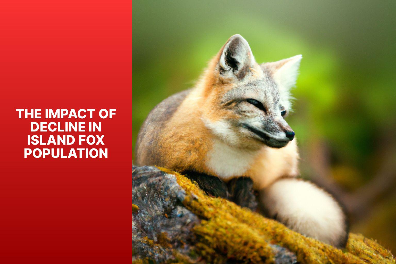 The Impact of Decline in Island Fox Population - Island Fox and Ecosystem Balance 