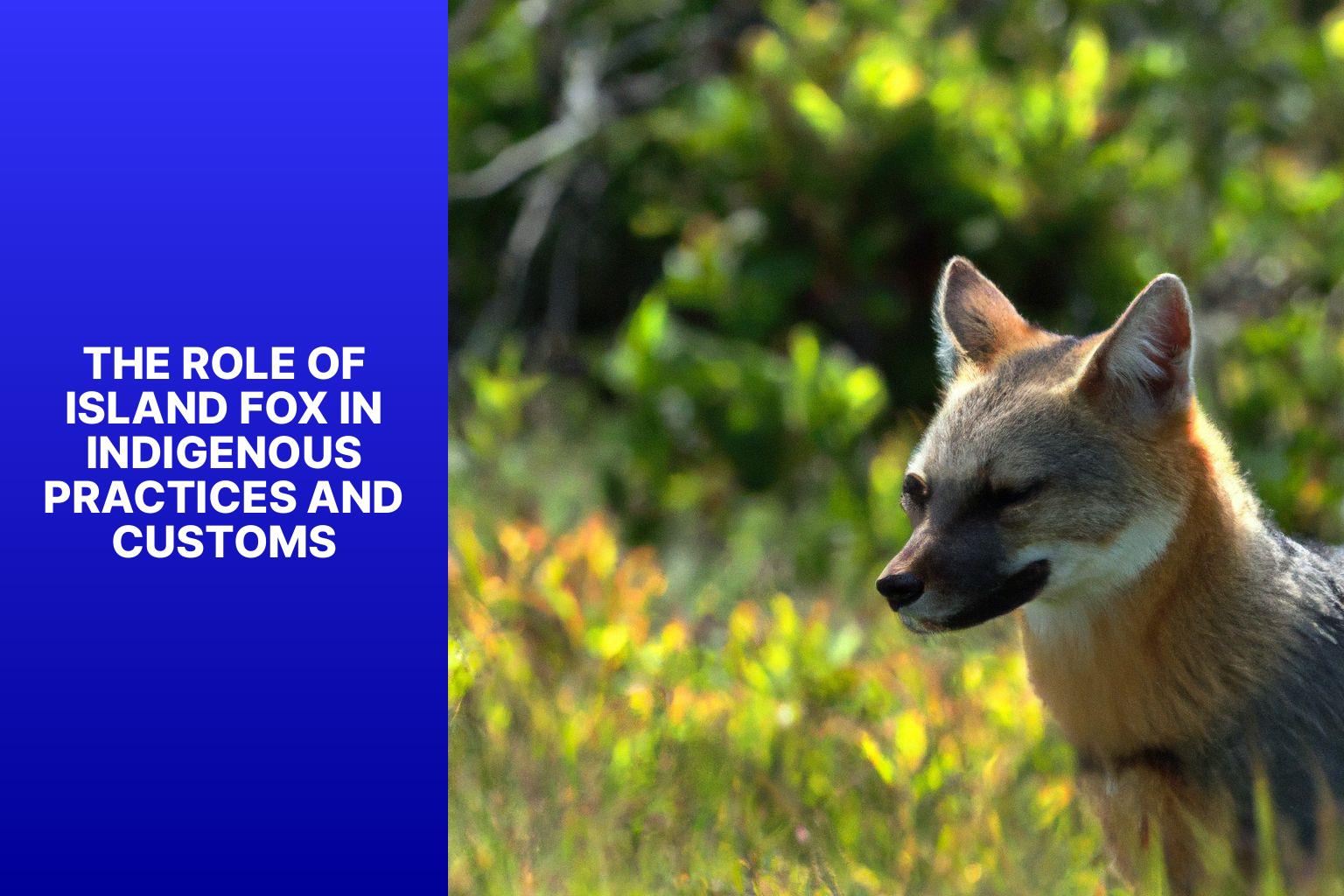 The Role of Island Fox in Indigenous Practices and Customs - Island Fox Cultural Significance 