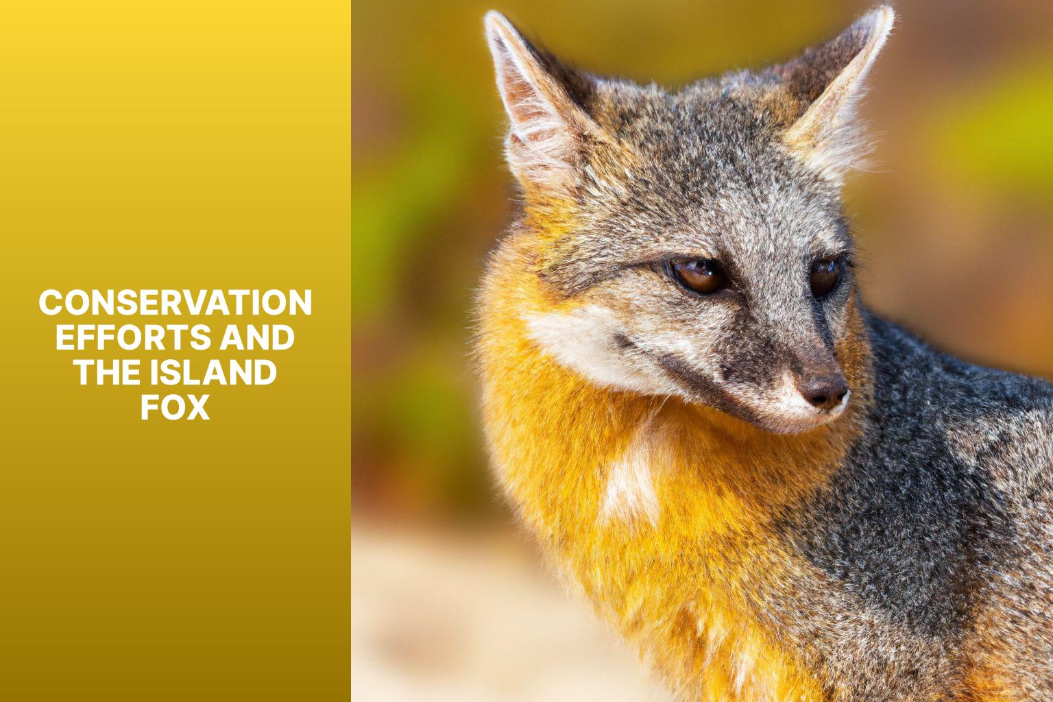 Conservation Efforts and the Island Fox - Island Fox Cultural Significance 