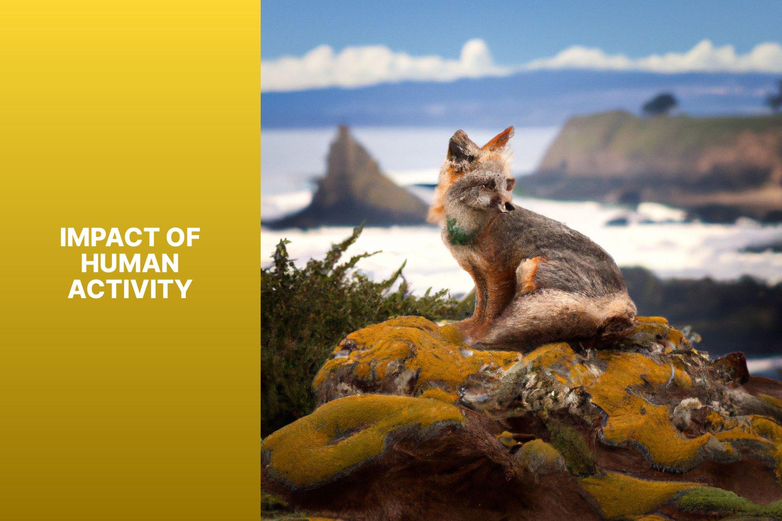 Impact of Human Activity - Island Fox Habitat 