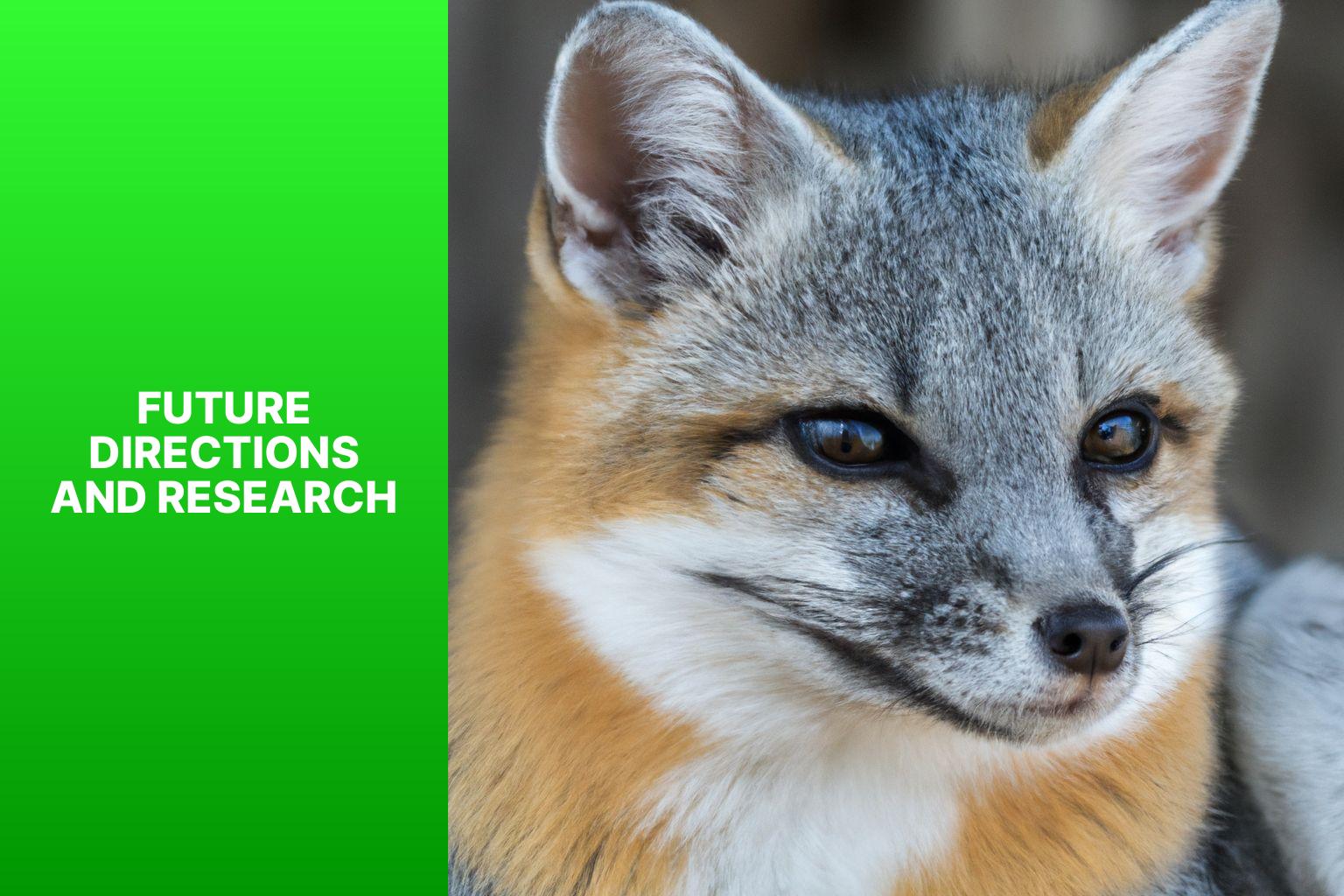 Future Directions and Research - Island Fox in Captivity 