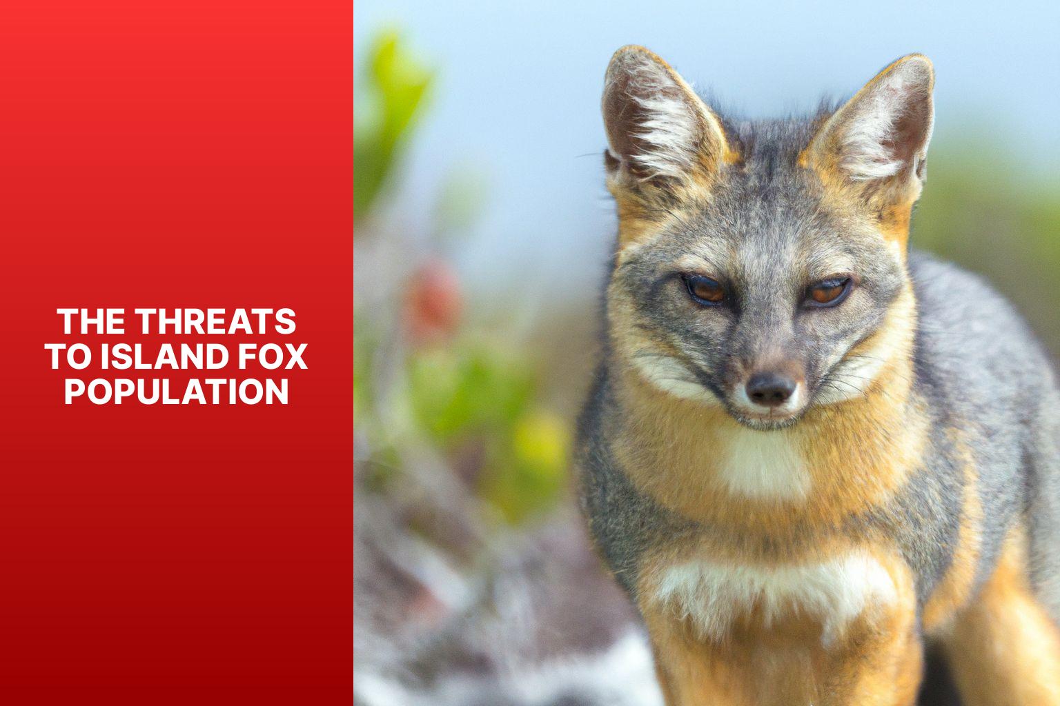 The Threats to Island Fox Population - Island Fox Population 