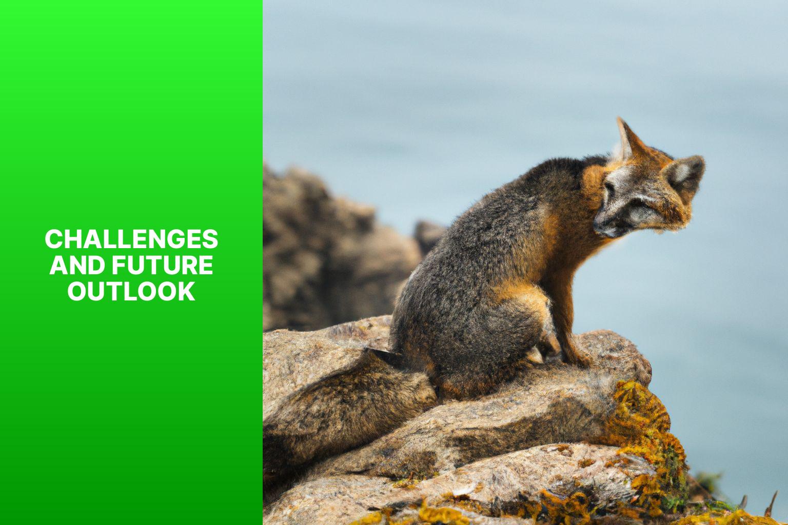 Challenges and Future Outlook - Island Fox Recovery Program 