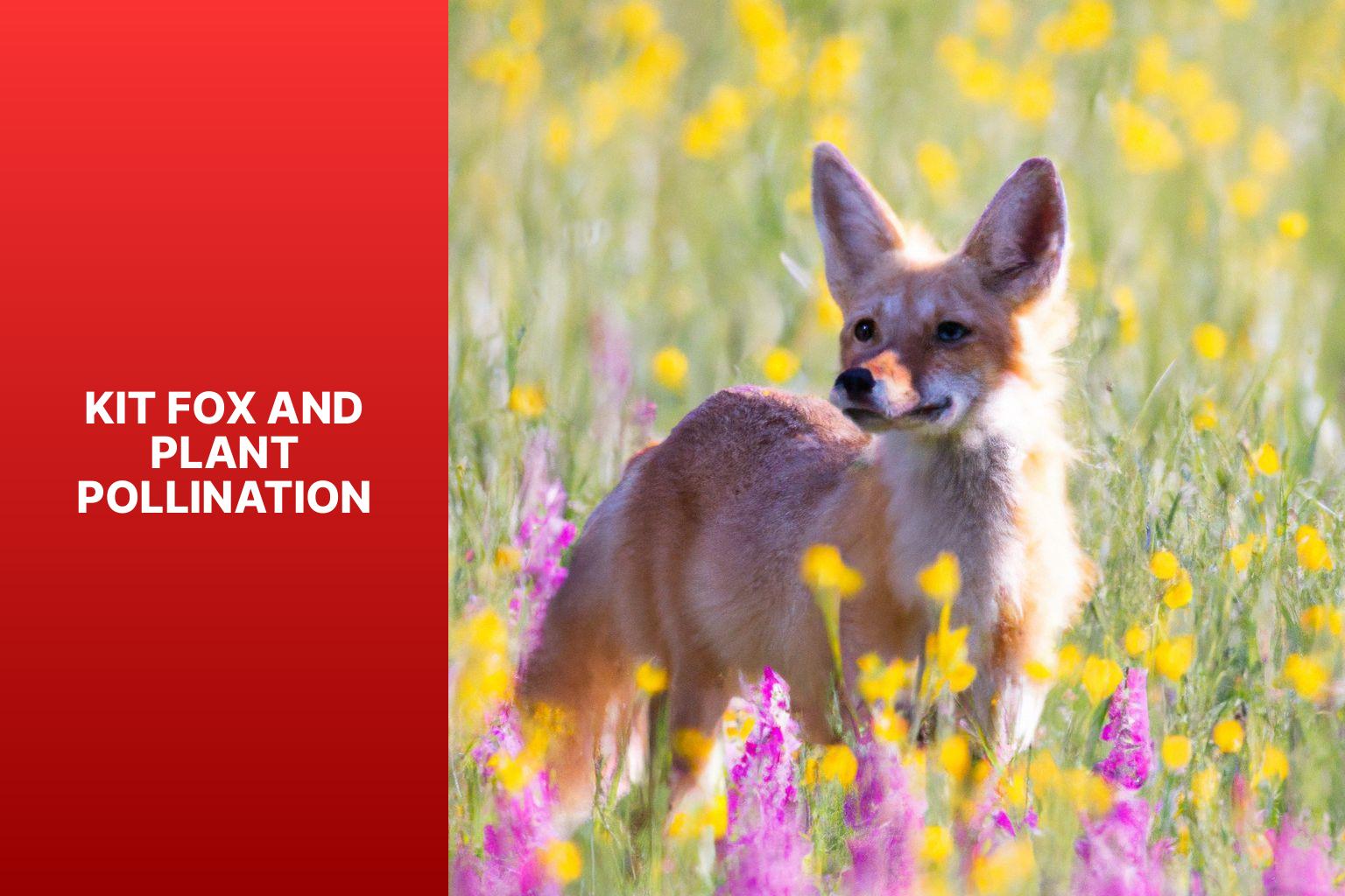 Kit Fox and Plant Pollination - Kit Fox and Ecosystem Balance 