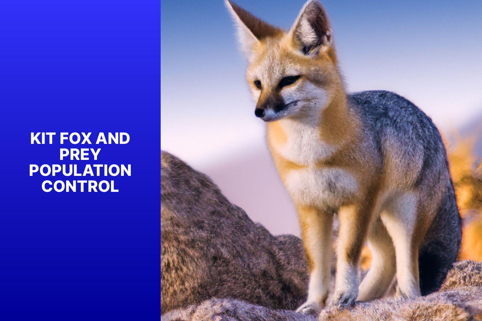 Kit Fox and Prey Population Control - Kit Fox and Ecosystem Balance 