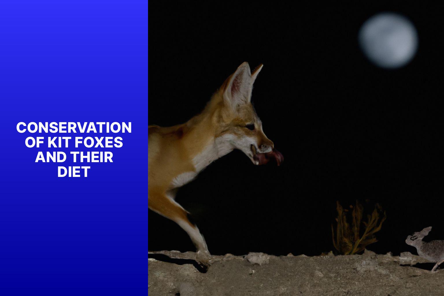 Conservation of Kit Foxes and Their Diet - Kit Fox Diet 