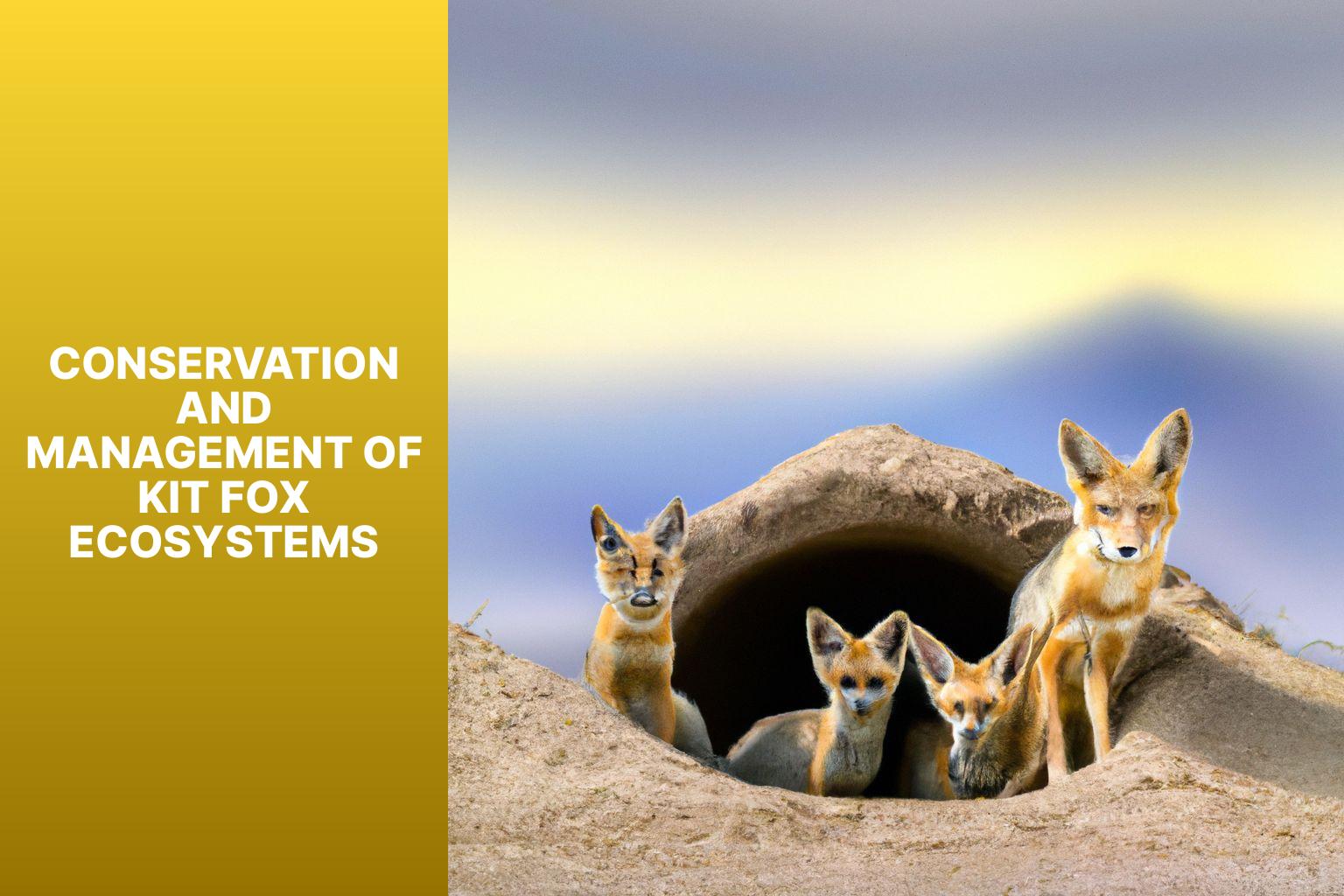 Conservation and Management of Kit Fox Ecosystems - Kit Fox Ecosystem 