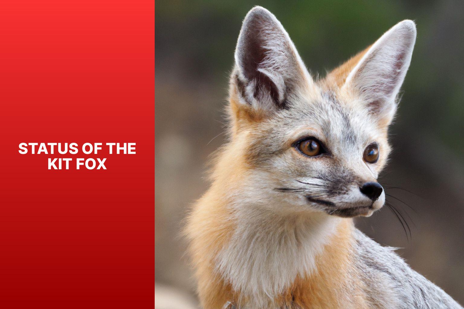 Status of the Kit Fox - Kit Fox Endangered 