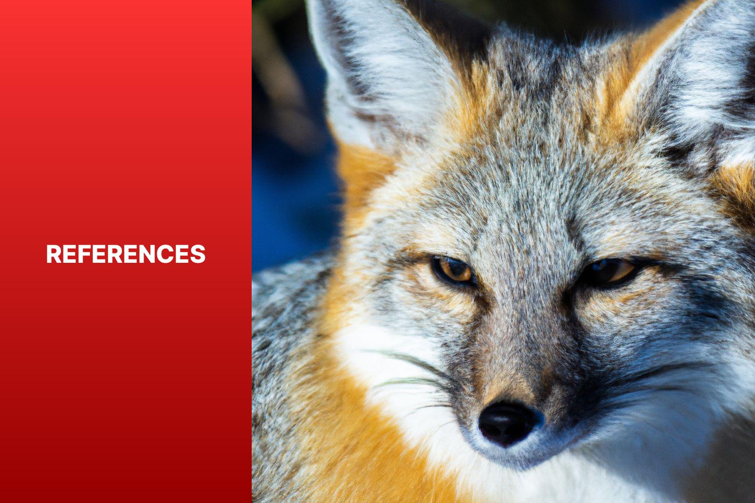 References - Kit Fox in Animal Behavior Research 