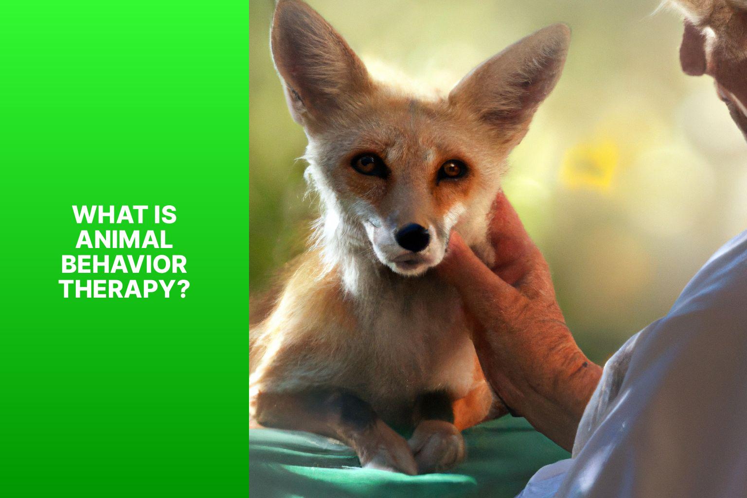 What is Animal Behavior Therapy? - Kit Fox in Animal Behavior Therapy 