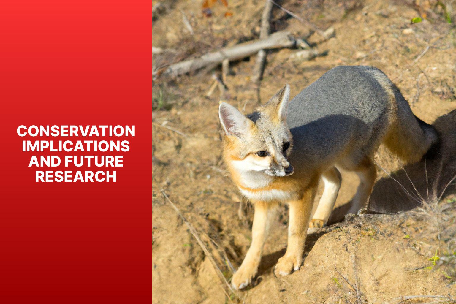 Conservation Implications and Future Research - Kit Fox in Animal Population Studies 
