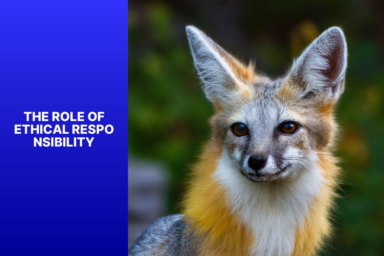 The Role of Ethical Responsibility - Kit Fox in Animal Welfare Ethics 