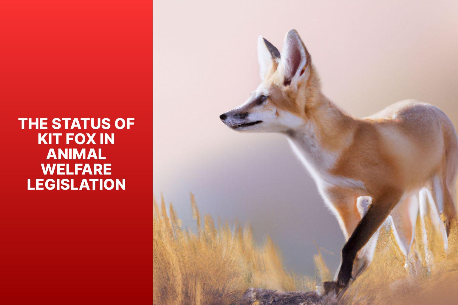 The Status of Kit Fox in Animal Welfare Legislation - Kit Fox in Animal Welfare Legislation 