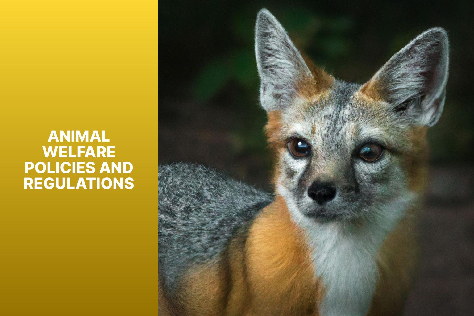 Animal Welfare Policies and Regulations - Kit Fox in Animal Welfare Policy 