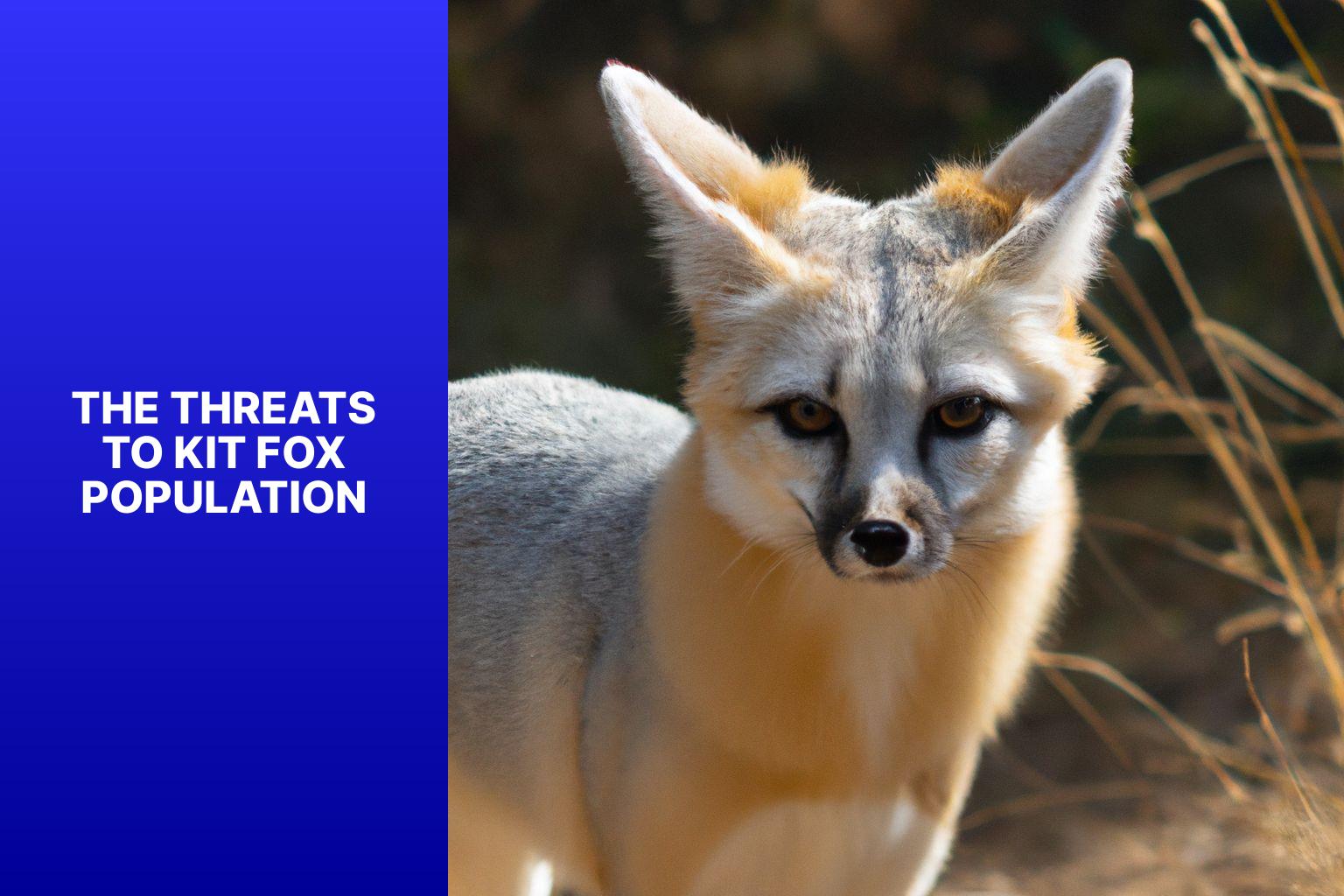 The Threats to Kit Fox Population - Kit Fox in Conservation Biology 