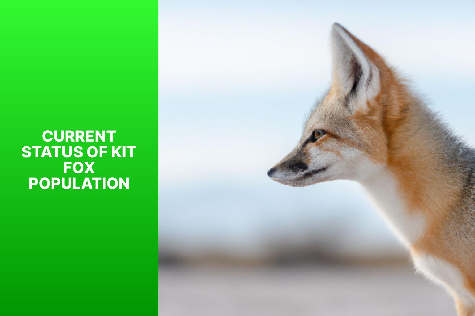 Current Status of Kit Fox Population - Kit Fox in Endangered Species Protection 