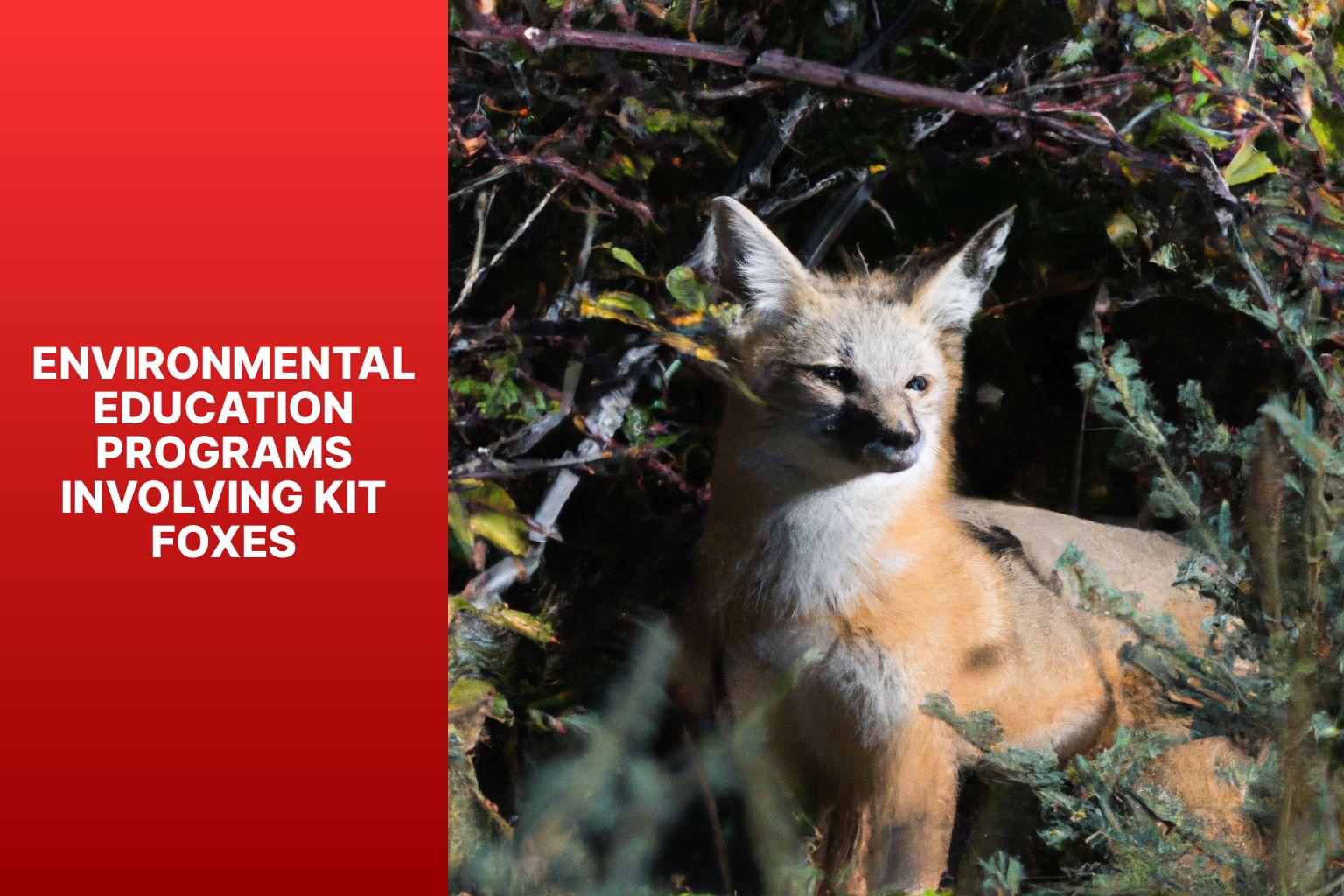 Environmental Education Programs Involving Kit Foxes - Kit Fox in Environmental Education 