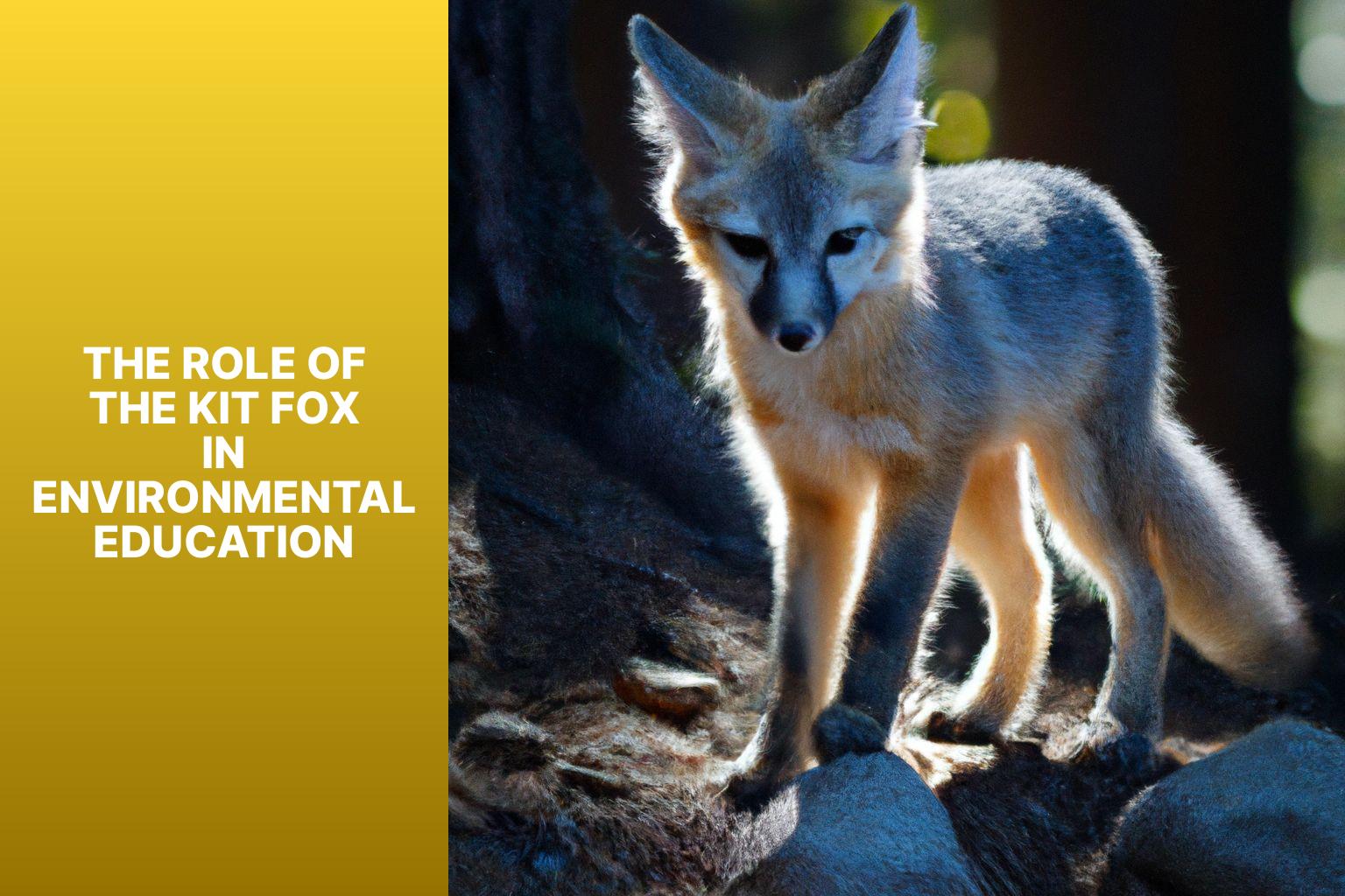 The Role of the Kit Fox in Environmental Education - Kit Fox in Environmental Education 