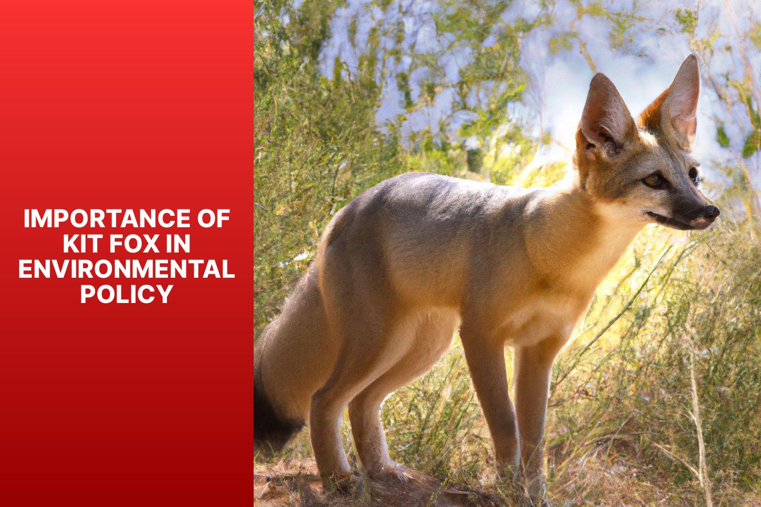 Importance of Kit Fox in Environmental Policy - Kit Fox in Environmental Policy 