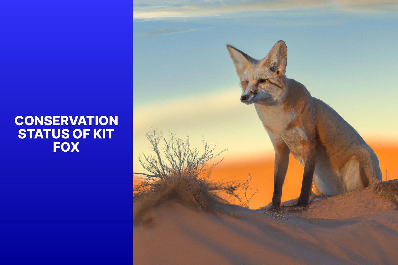 Conservation Status of Kit Fox - Kit Fox in National Parks 