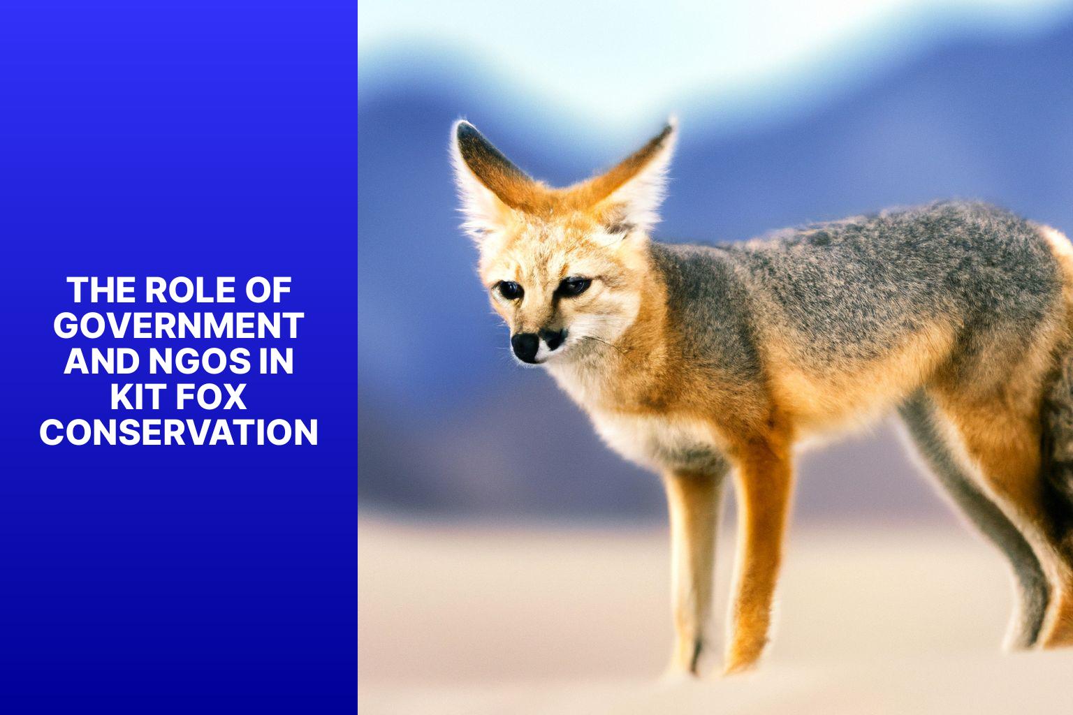 The Role of Government and NGOs in Kit Fox Conservation - Kit Fox in Wildlife Conservation Policy 