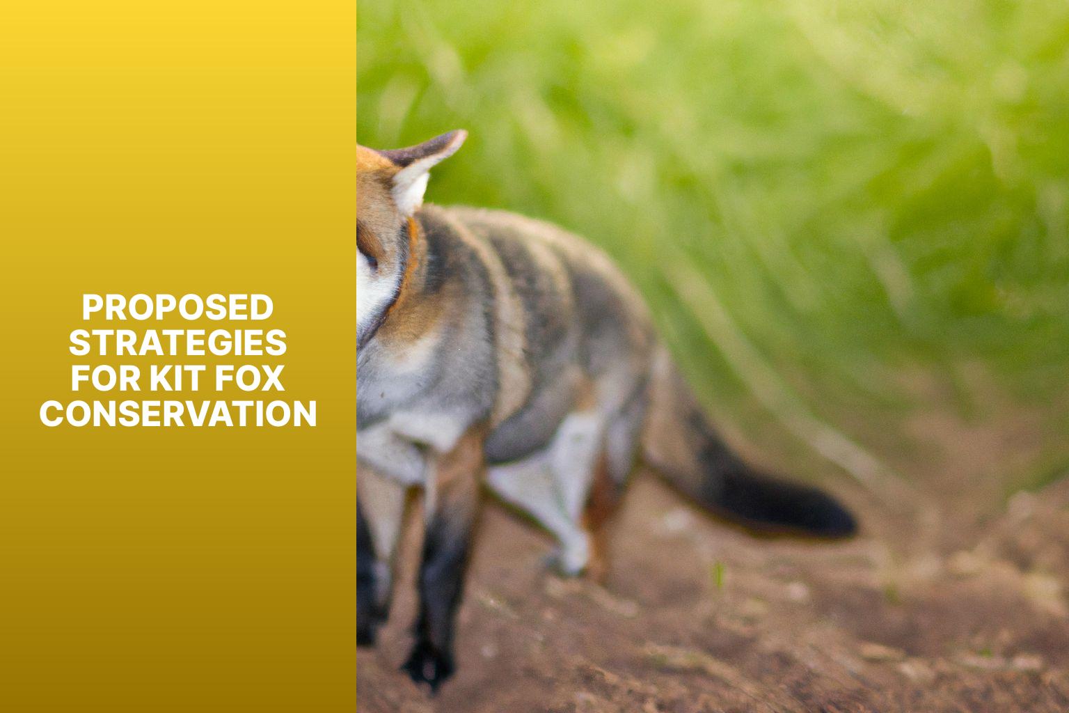 Proposed Strategies for Kit Fox Conservation - Kit Fox in Wildlife Conservation Policy 