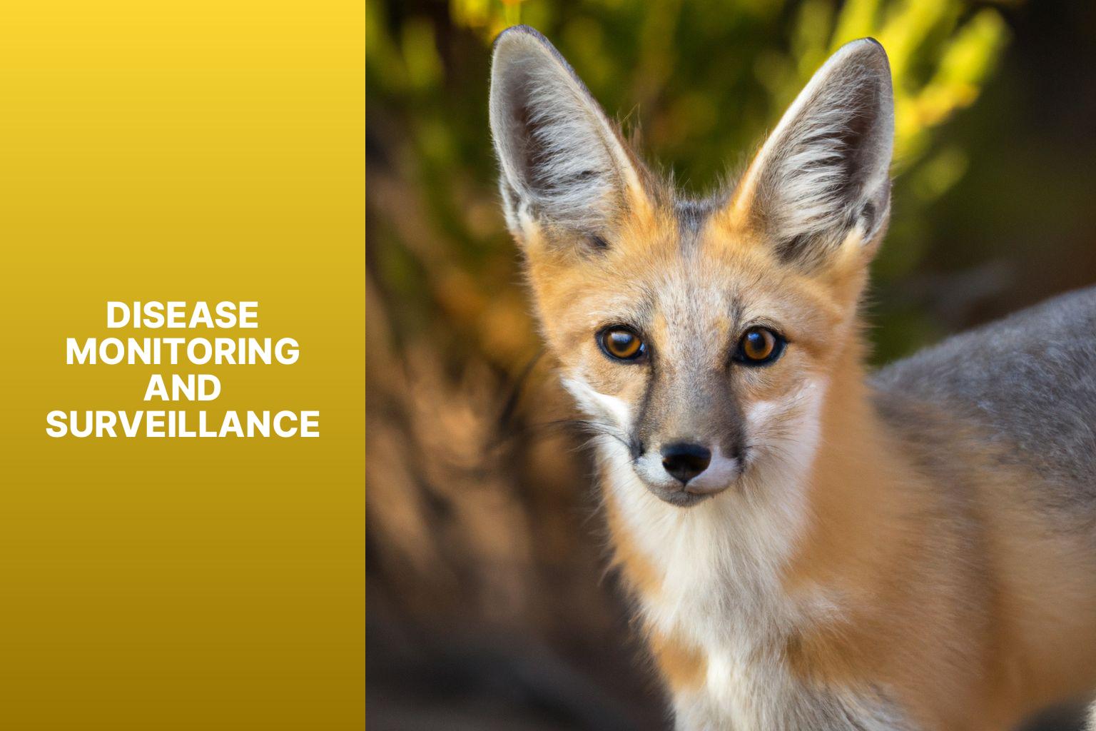 Disease Monitoring and Surveillance - Kit Fox in Wildlife Disease Management 