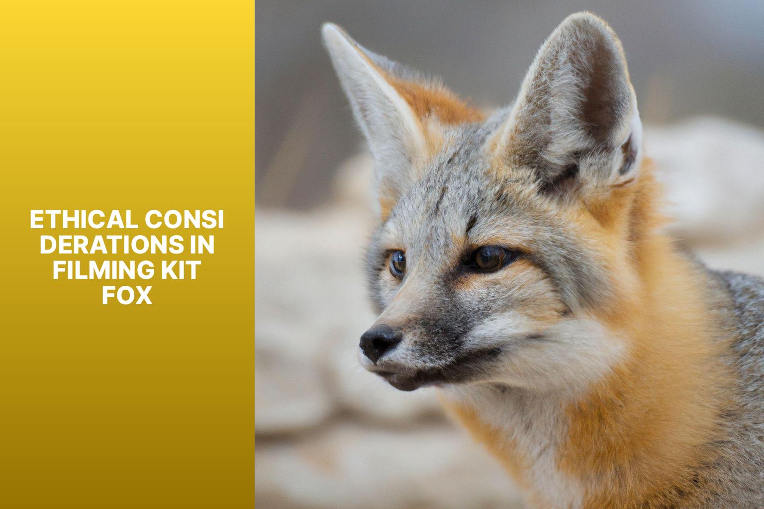 Ethical Considerations in Filming Kit Fox - Kit Fox in Wildlife Documentaries 