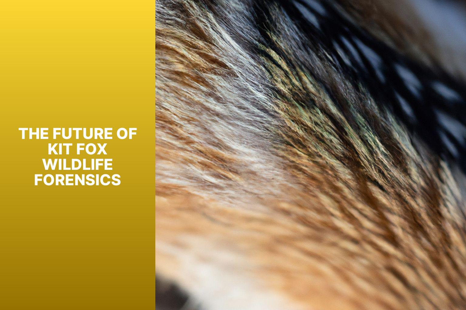 The Future of Kit Fox Wildlife Forensics - Kit Fox in Wildlife Forensics 