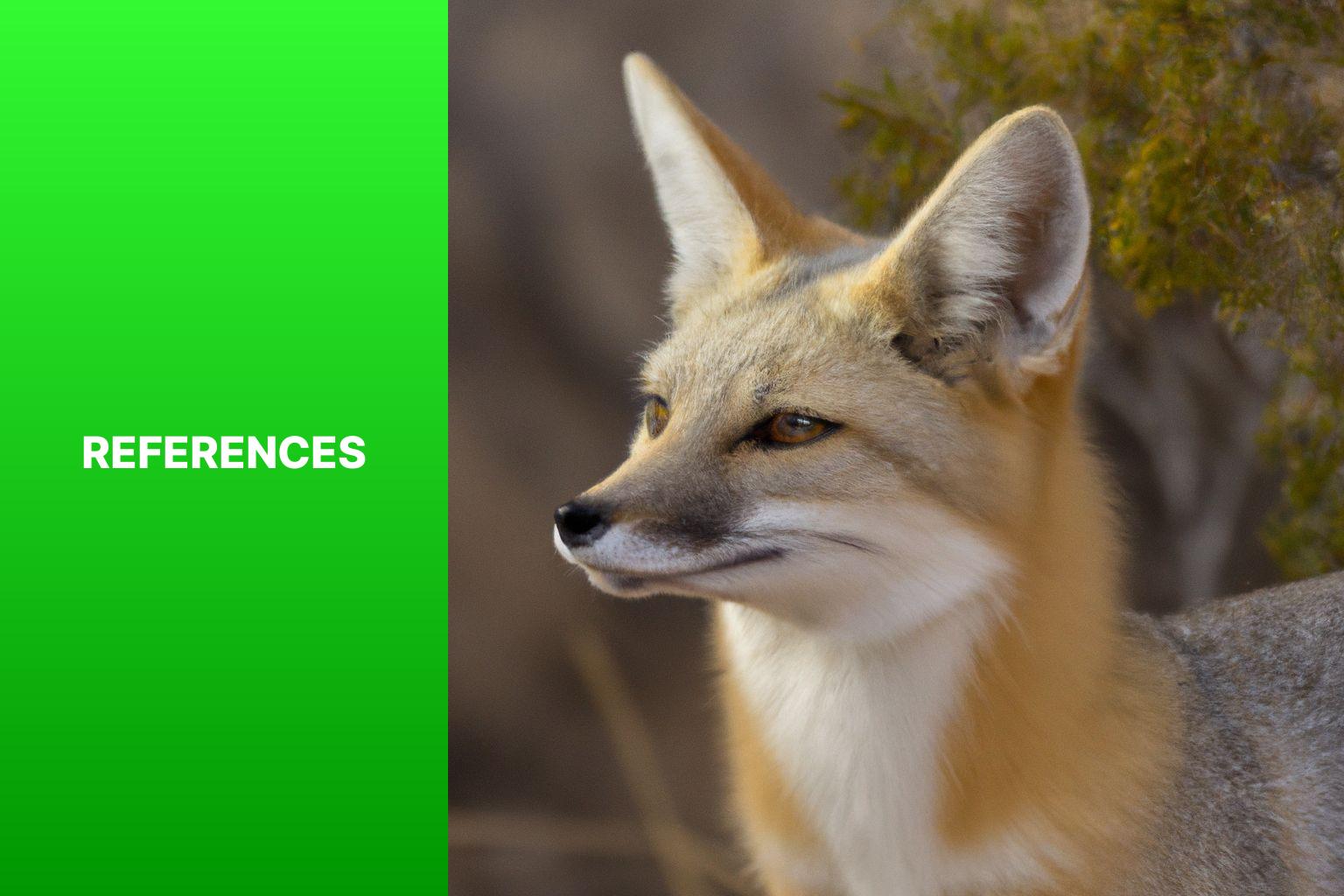 References - Kit Fox in Wildlife Management Practices 