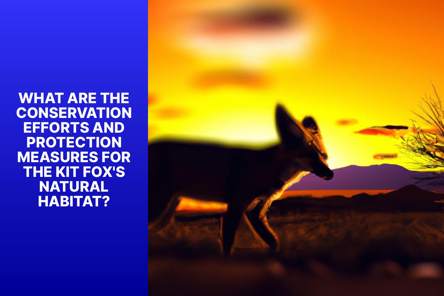 What are the Conservation Efforts and Protection Measures for the Kit Fox
