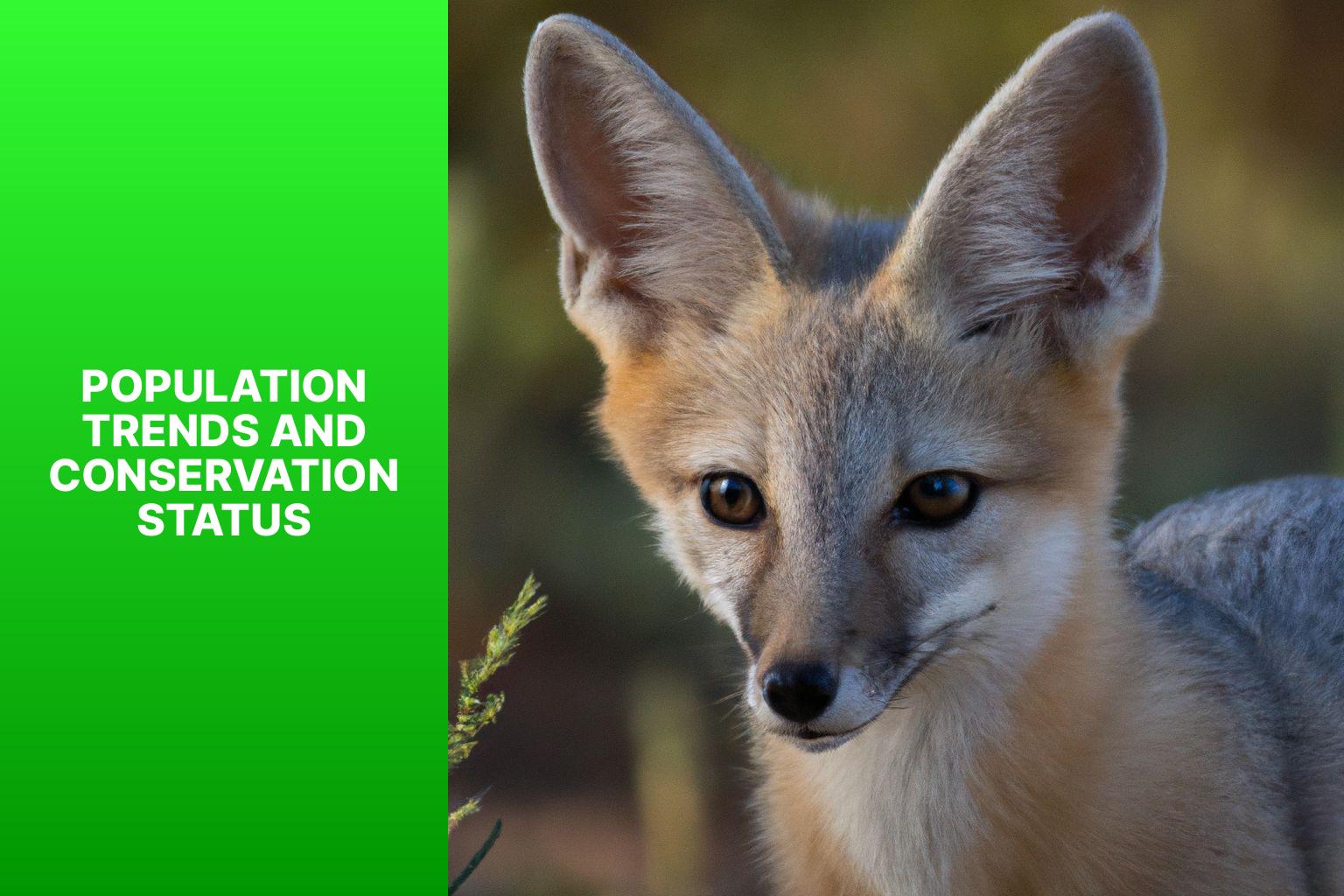 Population Trends and Conservation Status - Kit Fox Population 