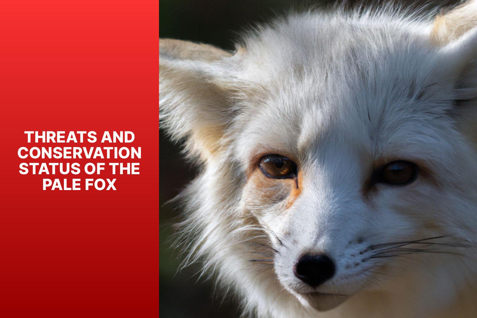 Threats and Conservation Status of the Pale Fox - Pale Fox Facts 