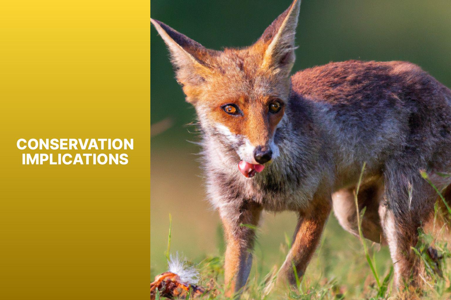 Conservation Implications - R ppell s Fox Diet 