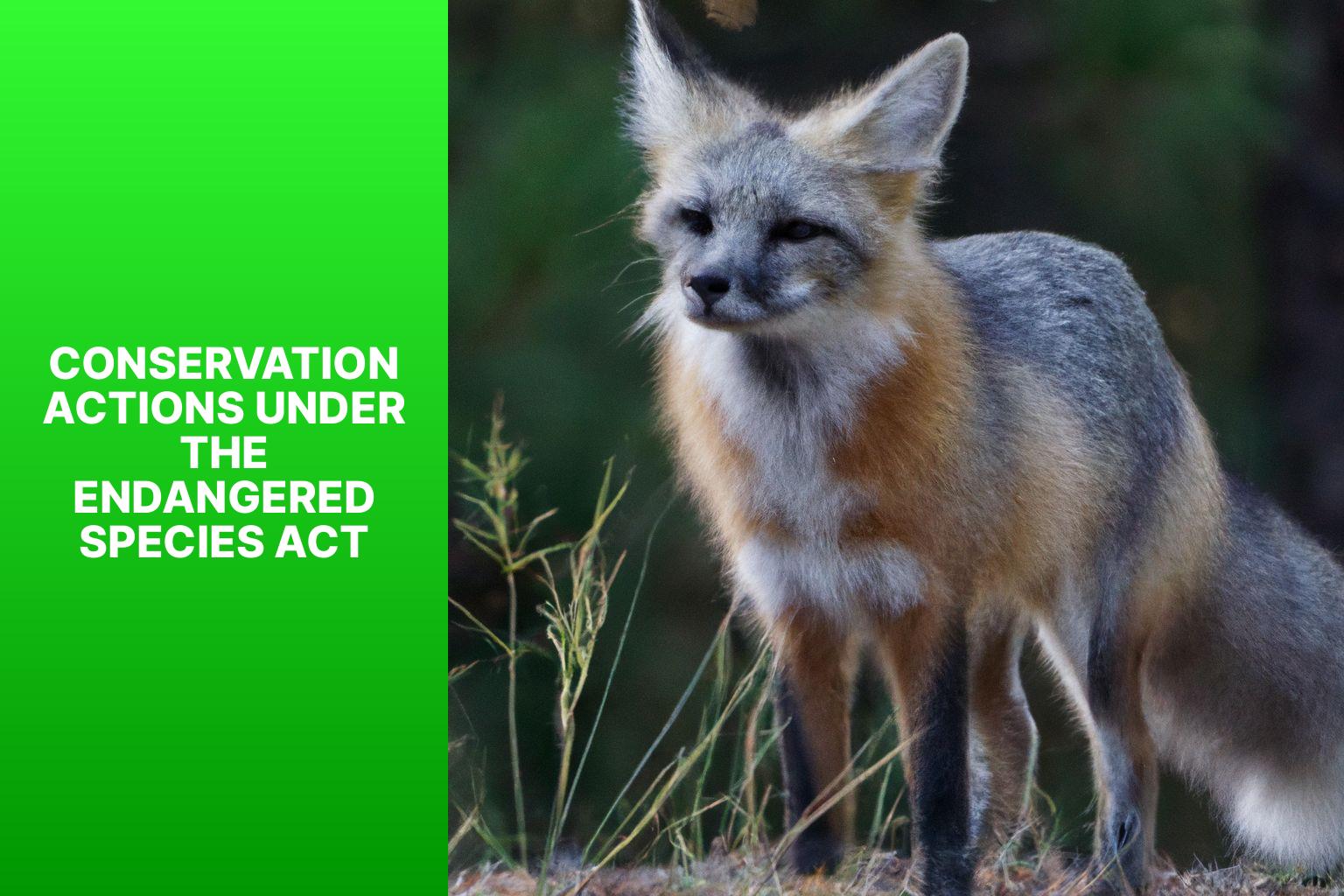 Conservation Actions under the Endangered Species Act - R ppell s Fox Endangered Species Act 