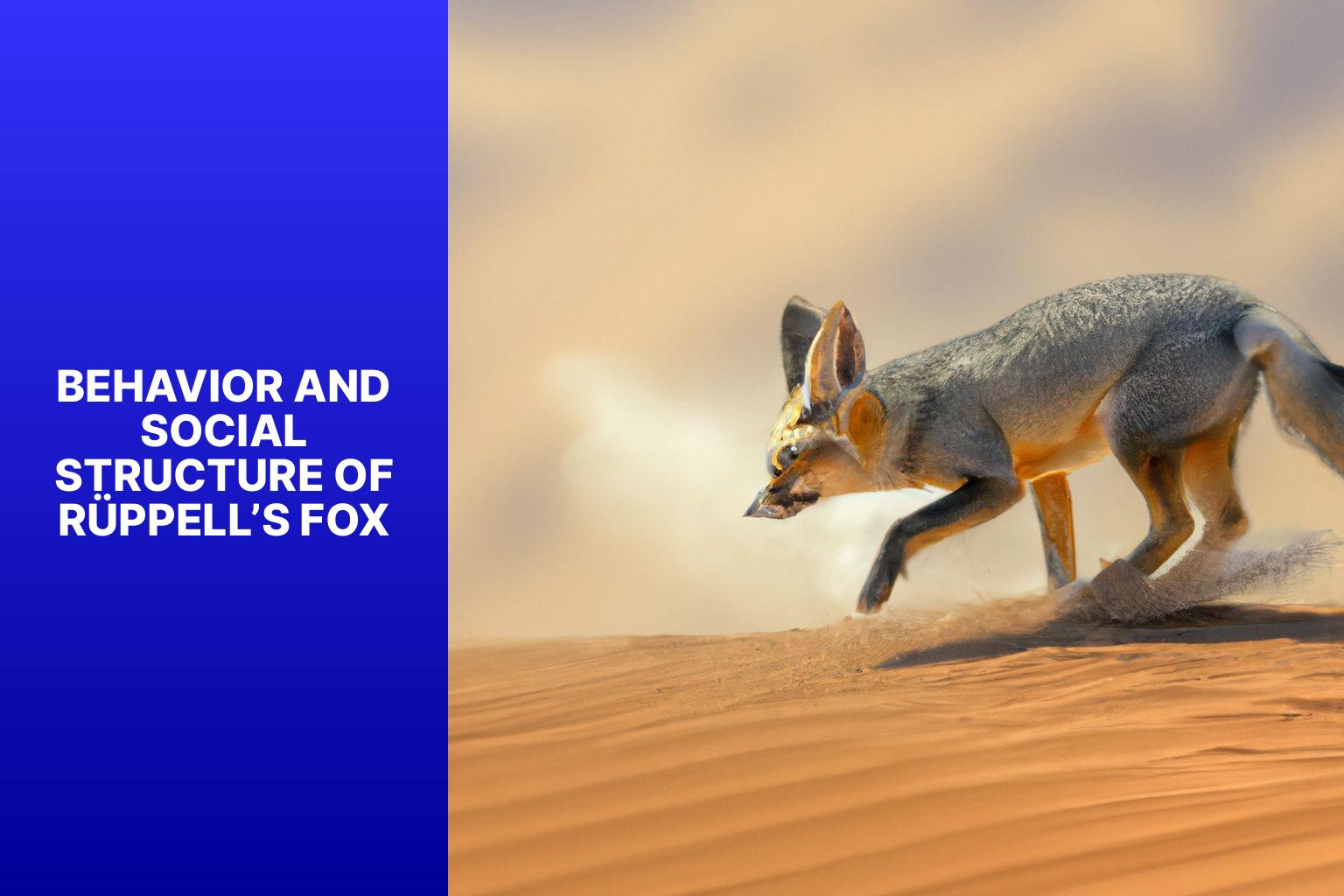 Behavior and Social Structure of R ppell s Fox - R ppell s Fox Facts 