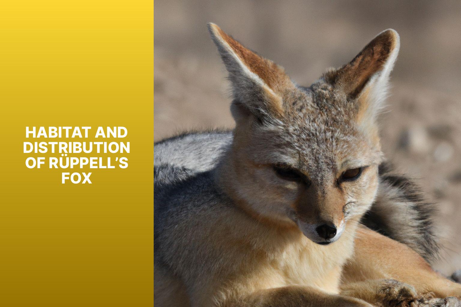Habitat and Distribution of R ppell s Fox - R ppell s Fox Facts 