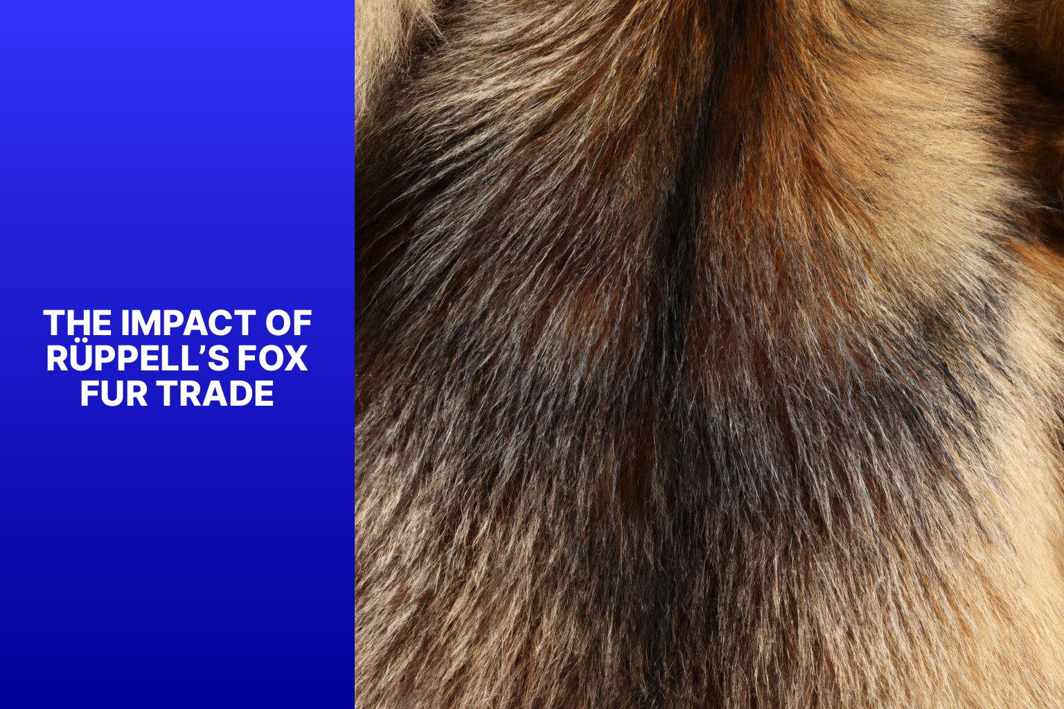 The Impact of R ppell s Fox Fur Trade - R ppell s Fox Fur Trade 