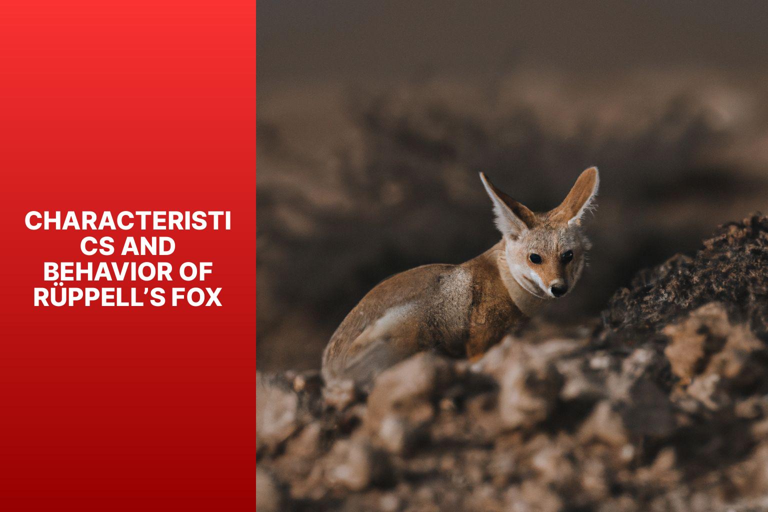 Characteristics and Behavior of R ppell s Fox - R ppell s Fox in Nature Documentaries 