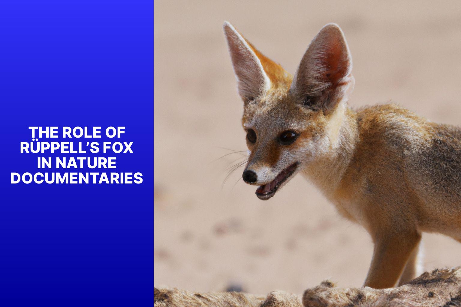 The Role of R ppell s Fox in Nature Documentaries - R ppell s Fox in Nature Documentaries 