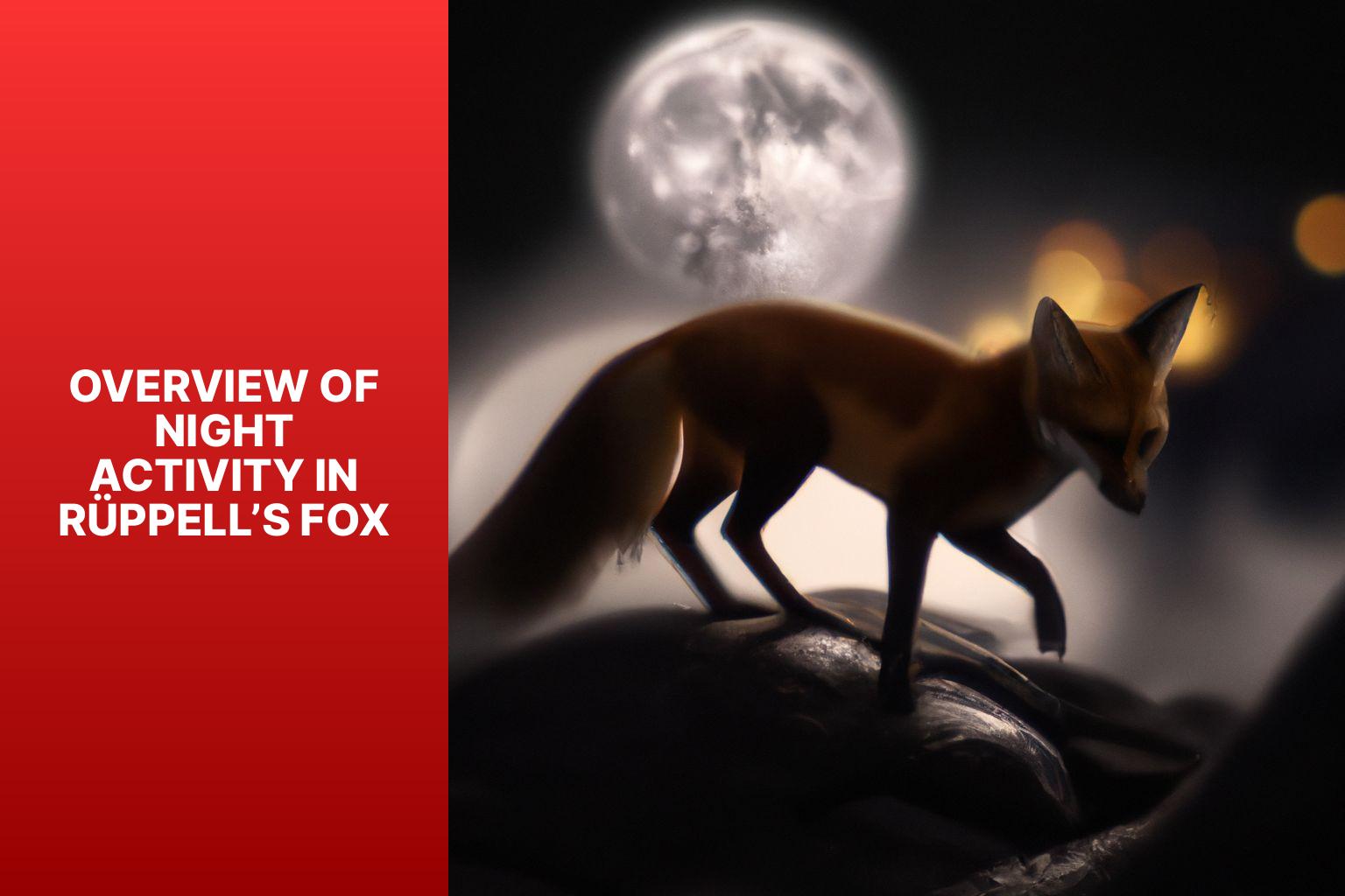 Overview of Night Activity in R ppell s Fox - R ppell s Fox Night Activity 