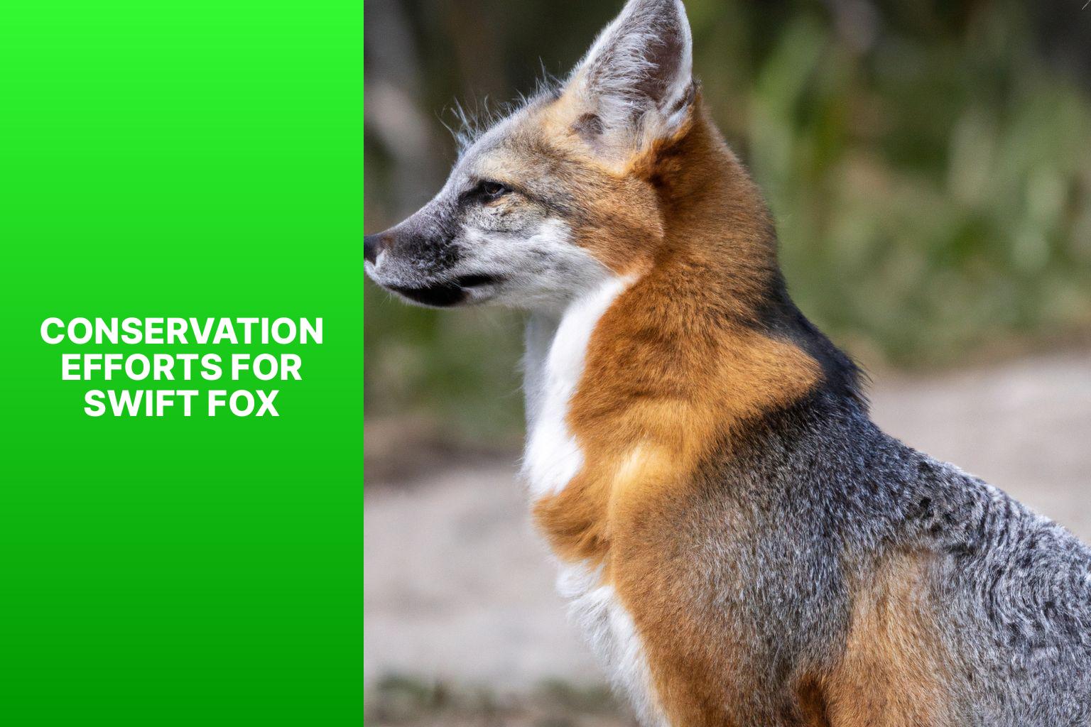 Conservation Efforts for Swift Fox - Swift Fox Climate Change Impact 