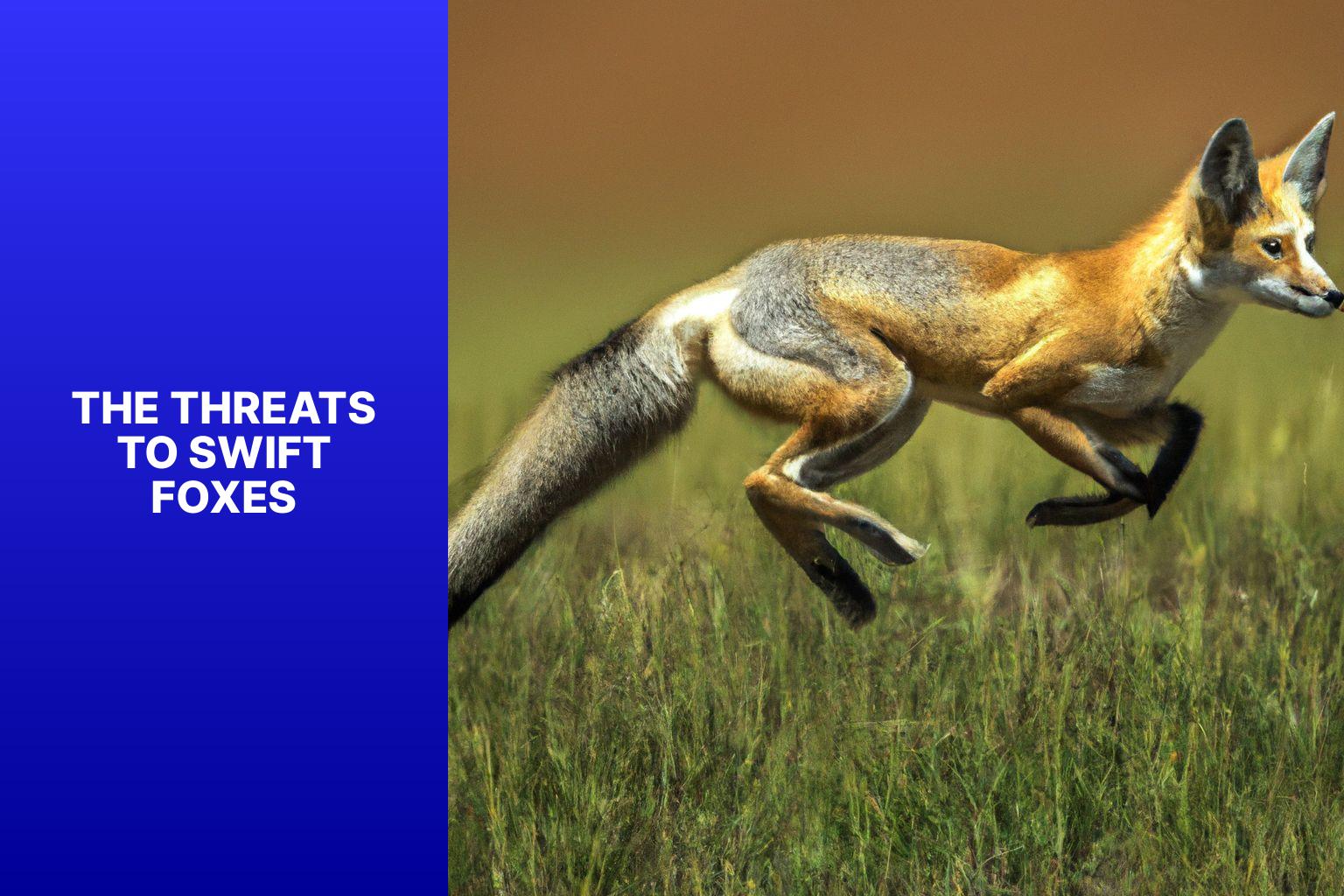 The Threats to Swift Foxes - Swift Fox Conservation 